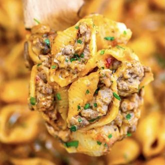 Beef and Shells Fam 2